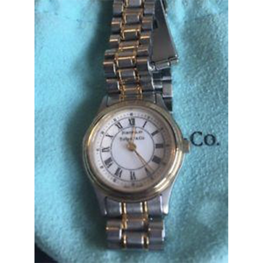 Tiffany & sales co portfolio watch